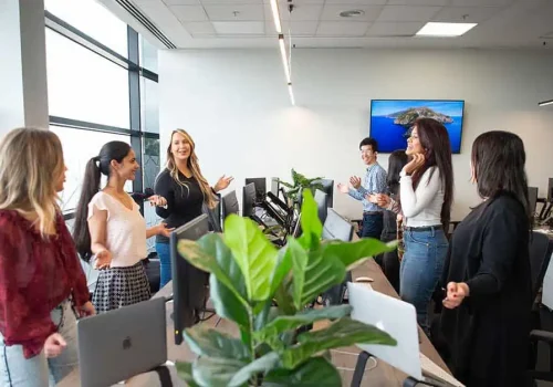 digital marketing team