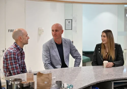 essential guide to wordpress risk management